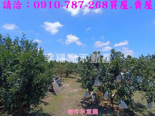 台南麻豆農地-3