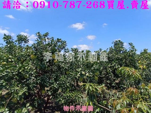 台南麻豆農地-4