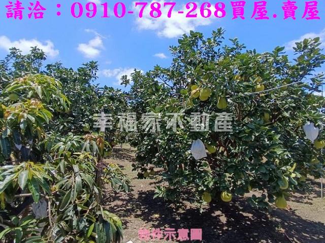 台南麻豆農地-5