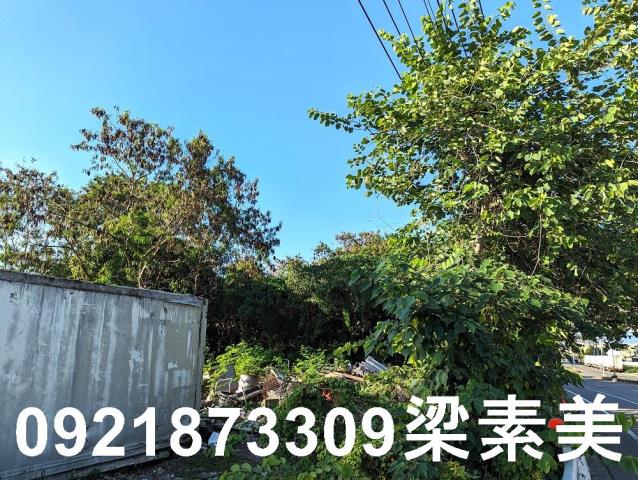 台南新市農地-3