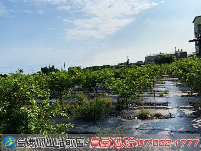 高雄農地-12