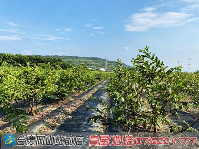 高雄農地-14