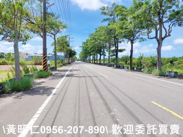 台南佳里農地-9