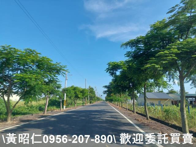 台南佳里農地-11