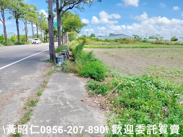 台南佳里農地-5