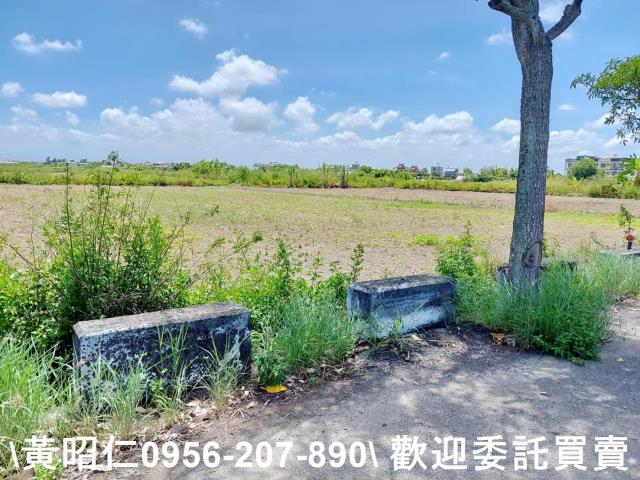 台南佳里農地-6