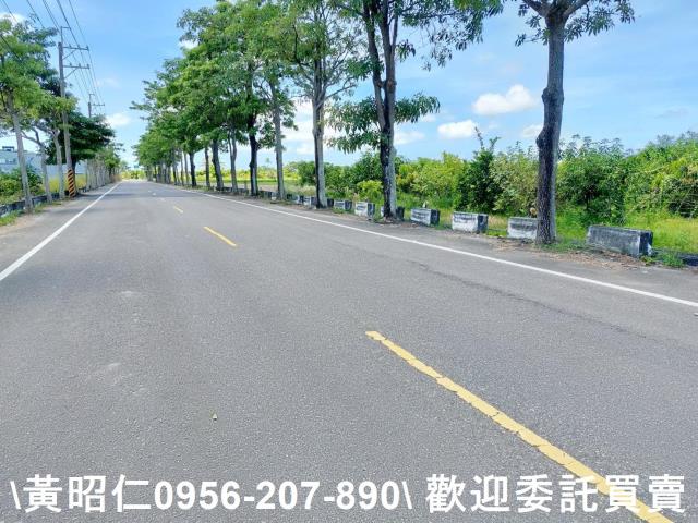 台南佳里農地-8