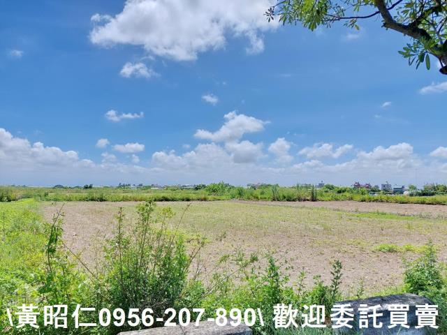 台南佳里農地-0