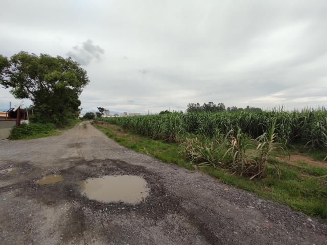 台南善化農地-9