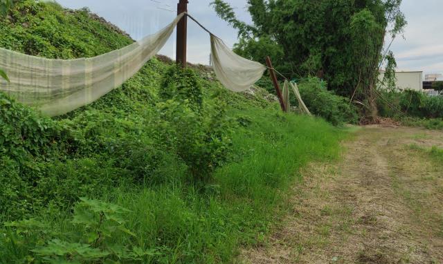 台南善化農地-10