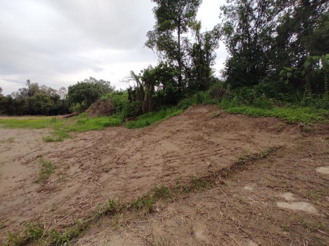 台南善化農地-5