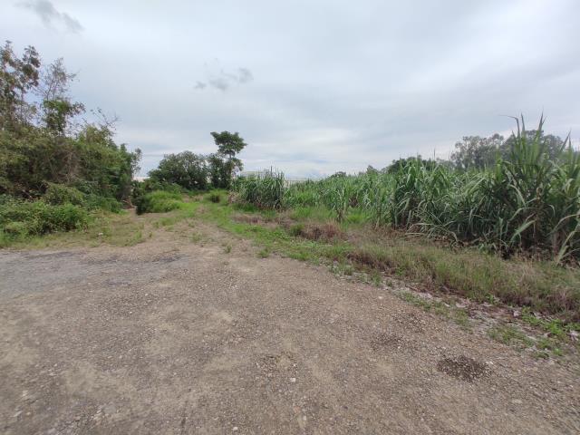 台南善化農地-6