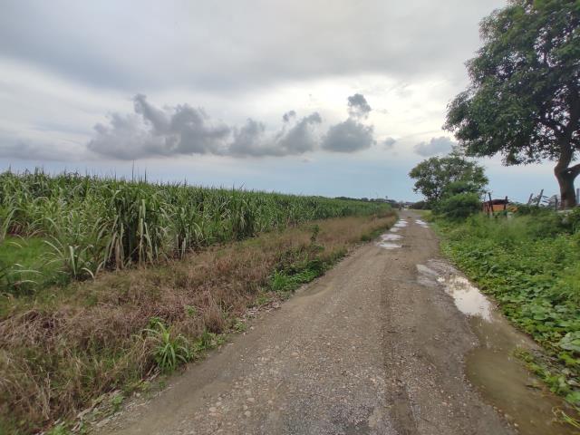 台南善化農地-7