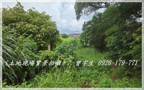 桃園觀音農地-3