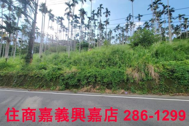 嘉義中埔農地-4