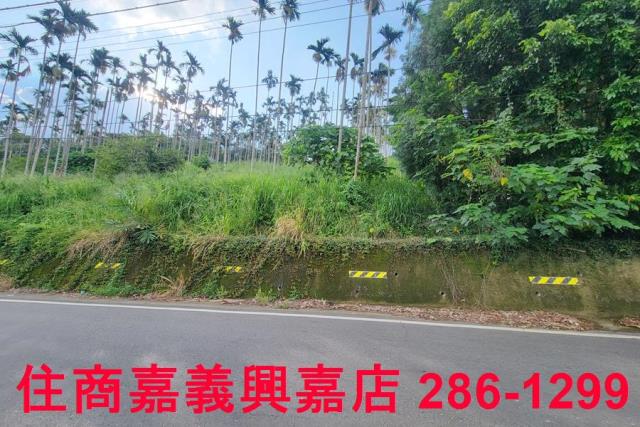 嘉義中埔農地-5