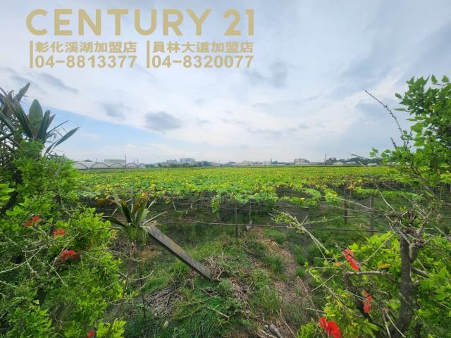 彰化農地-7