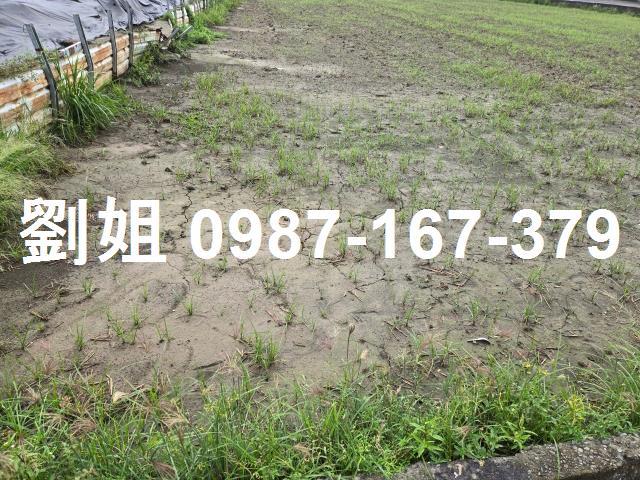 近華鳳特區方正小農地