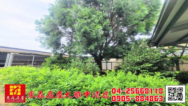 台中新社農地-9