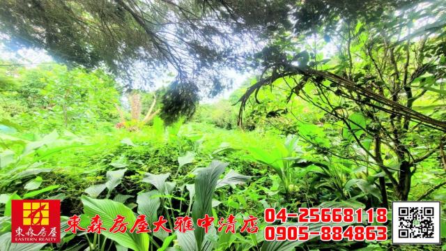 台中新社農地-12