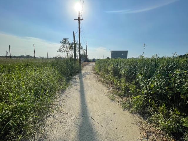 高雄阿蓮農地-10
