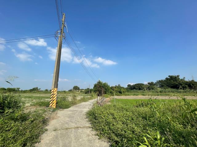 高雄阿蓮農地-12