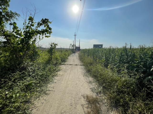 高雄阿蓮農地-13