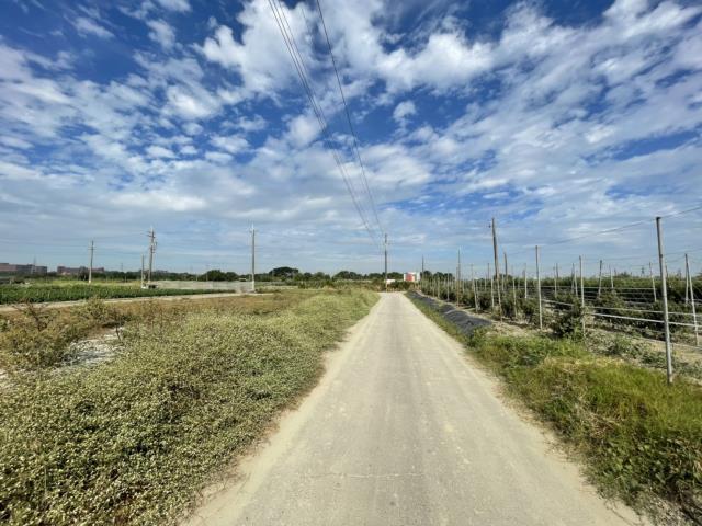 高雄阿蓮農地-0