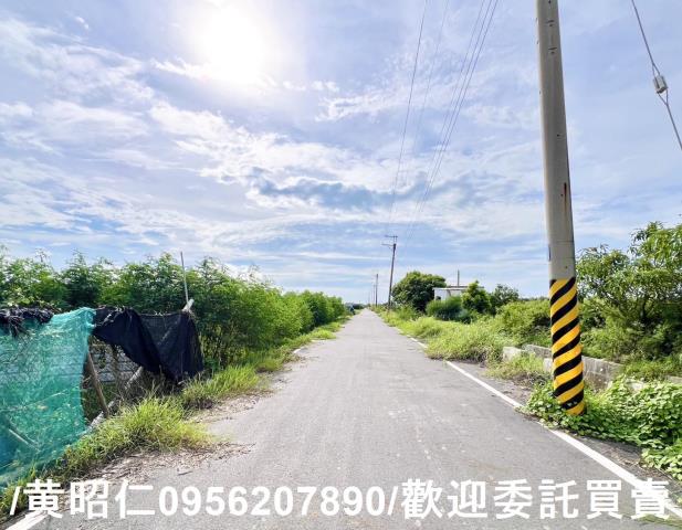 麻豆農地-1