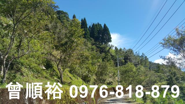 芎林土地新竹土地新竹農地