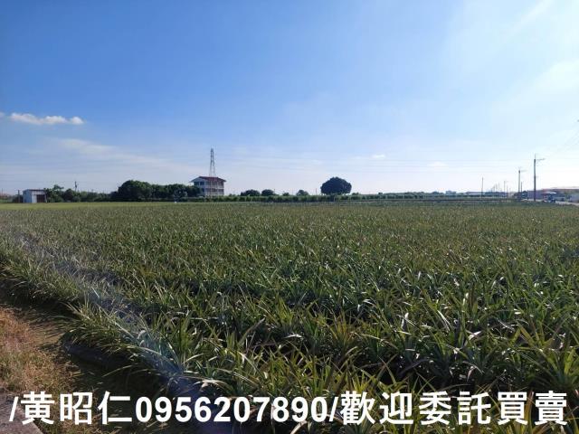 台南山上農地-2