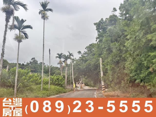 台東農地-9
