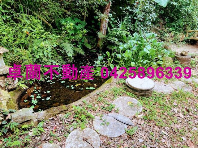 苗栗大湖農地-10