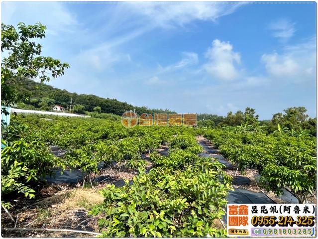 台南南化農地-1