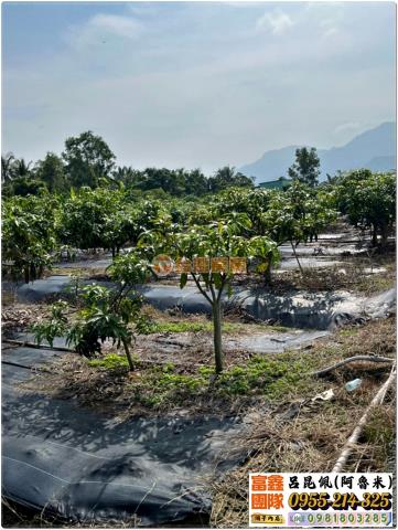 台南南化農地-7