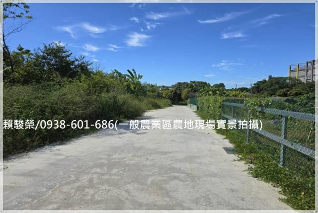 龍潭民生路一般農售