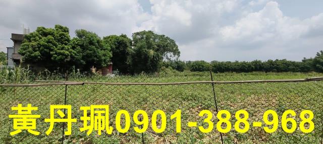 蘆竹海山路農建地送廠房