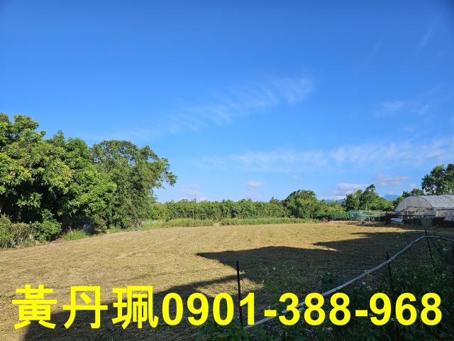 桃園八德農地-5