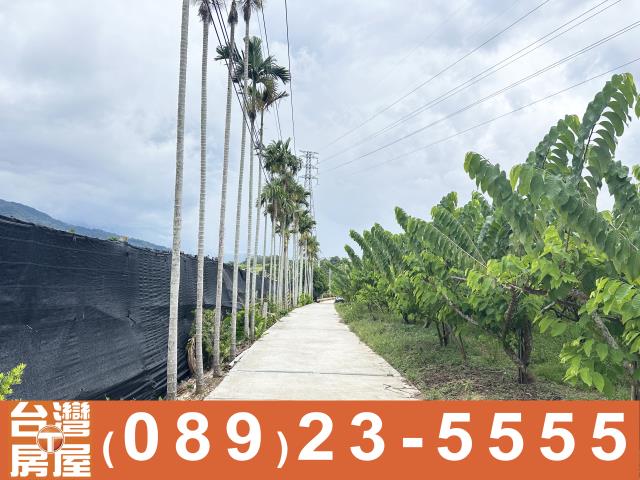 台東卑南農地-1