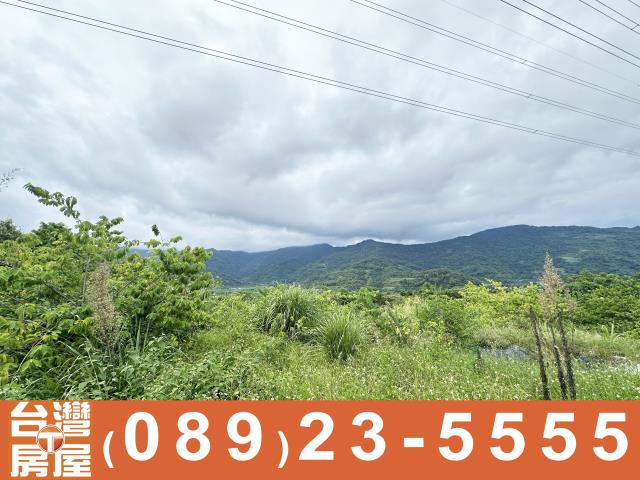 台東卑南農地-7
