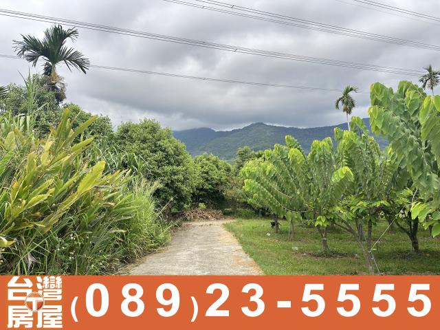 台東卑南農地-9