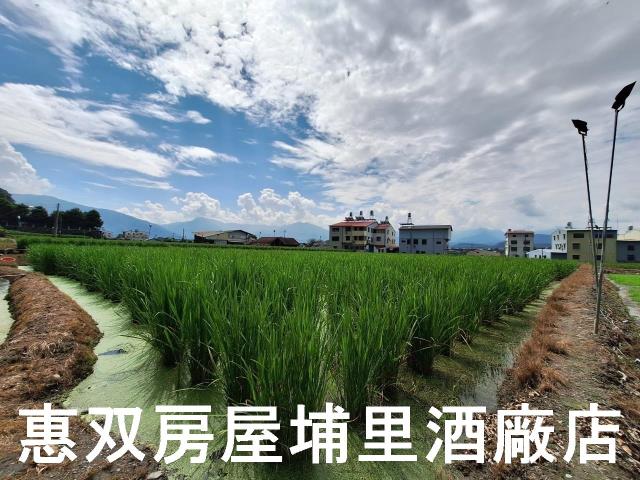 埔里農地-6