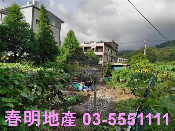 新竹芎林農地-3