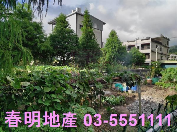 新竹芎林農地-4