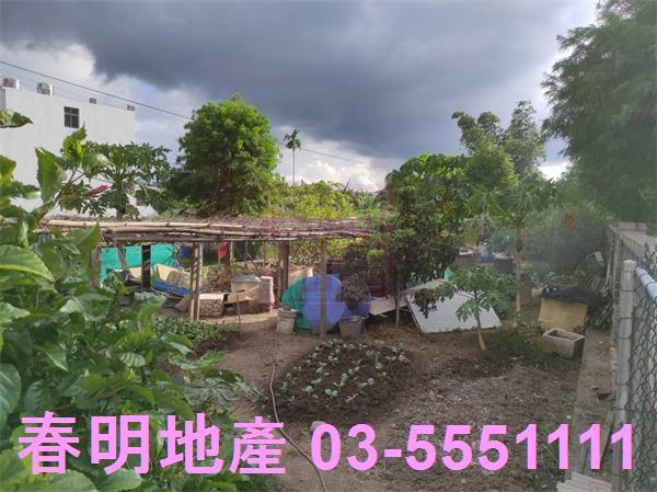 新竹芎林農地-5