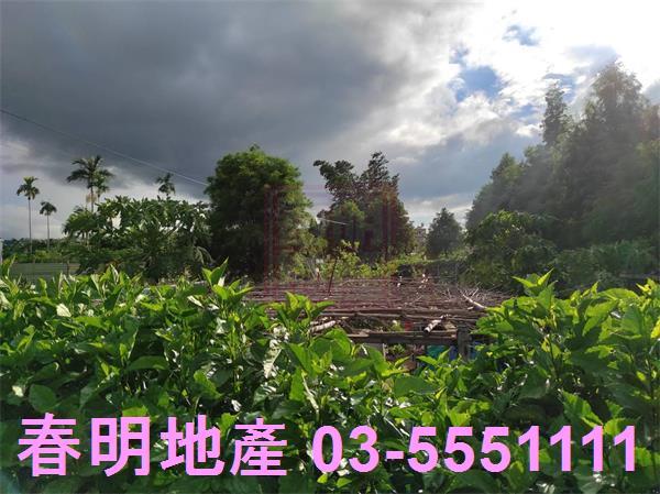 新竹芎林農地-6