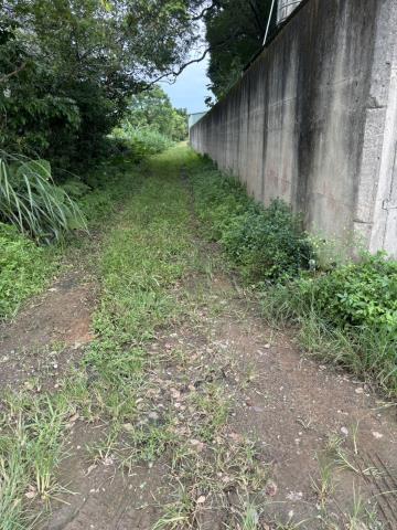 桃園龍潭農地-0
