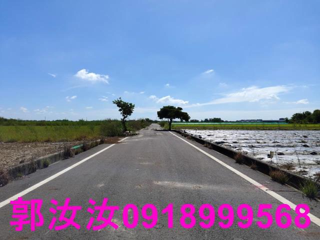 鹽水農地-11