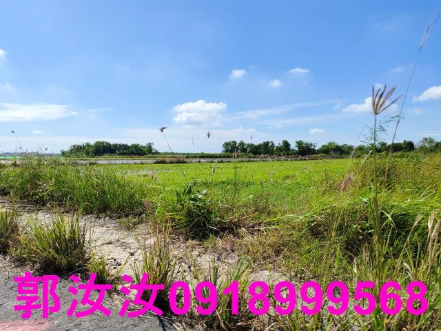鹽水農地-1