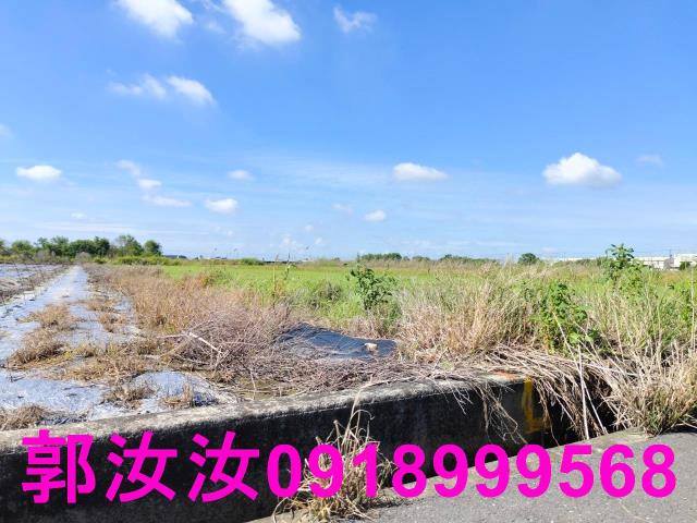 鹽水農地-2
